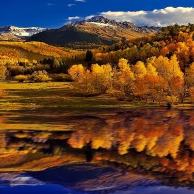 开元im电竞官网